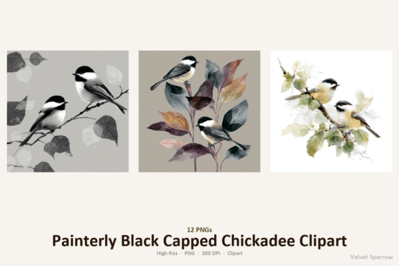 Review: Painterly Black Capped Chickadee Clipart for Embroidery