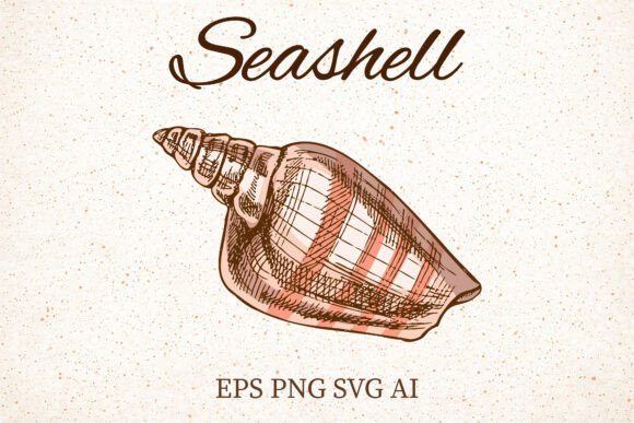 Vintage Pink Seashell Clipart: A Designerβs Review